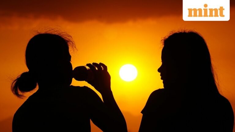 Delhi experiences hottest May night in 14 years; IMD issues yellow warning for heat wave till May 27 | Today’s news