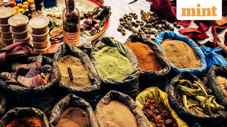 Businessman awarded ₹10 lakh by Madhya Pradesh HC after ‘aamchur, garam masala’ mistaken for drugs | Today’s news