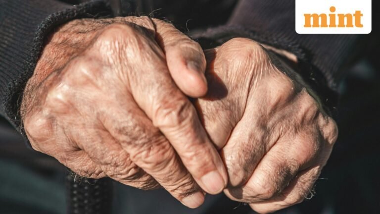 Irish Proverb of the Day: ‘Age is venerable and youth is noble’; meaning and why it still matters today | Today’s news