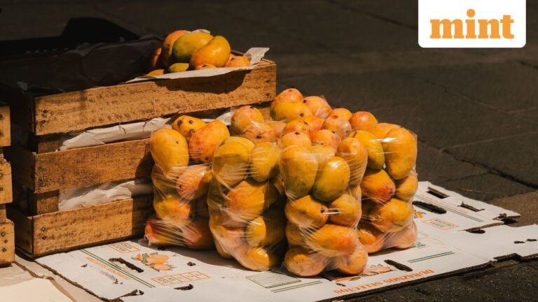 Mango cultivation is a very special part of India’s farming economy: PM | Today’s news
