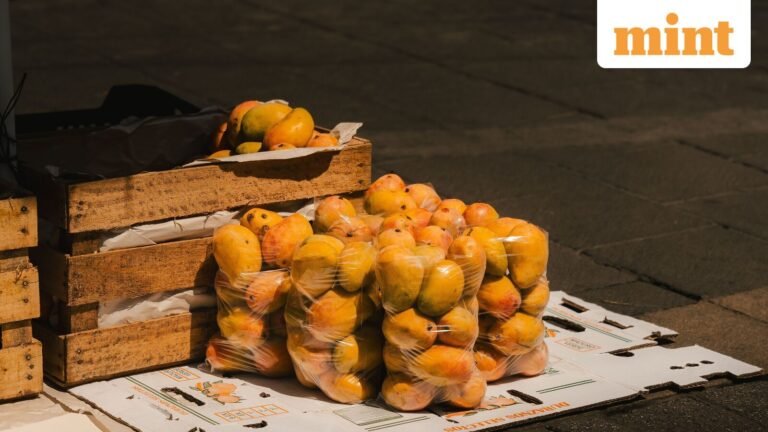 Big blow to Indian exporters as Japan bans mango imports from India after 20 years News Today
