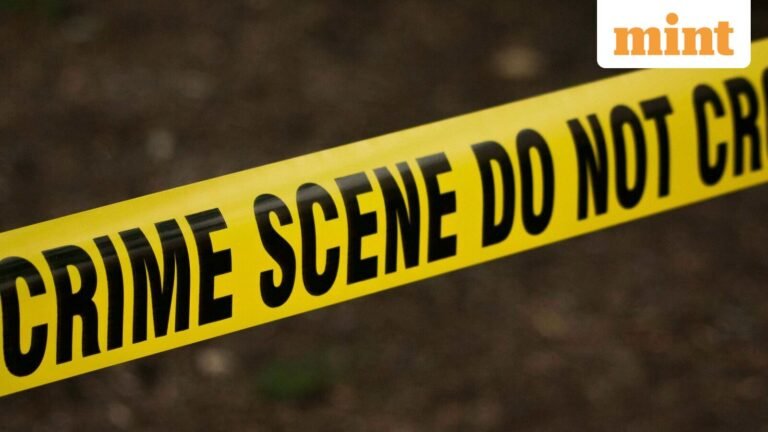 22-year-old Indian student stabbed to death in Canada, suspect arrested | Today’s news