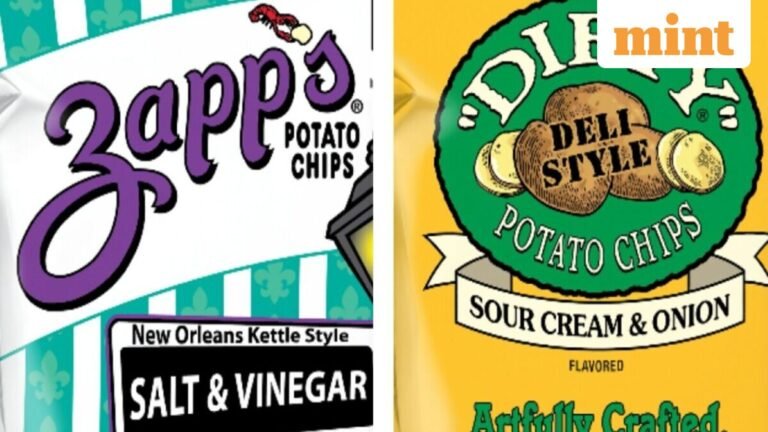 Popular Potato Chips Recalled in US Due to Possible Salmonella in Condiment Ingredient | Today’s news