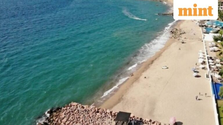 Mexico investigates possible serial killer connection after three women found dead in Puerto Vallarta | Today’s news