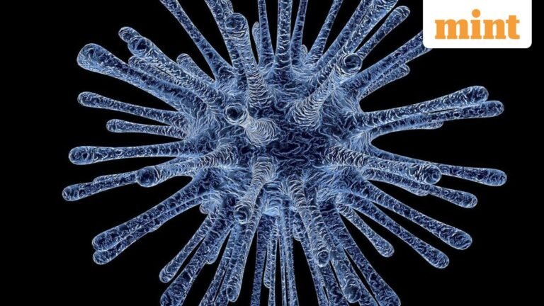 ‘2026: Hantavirus’ 2022 viral tweet sparks fear on the internet as WHO investigates rare outbreak | Today’s news
