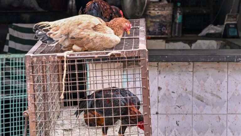 The Varanasi municipal body has approved a plan to shift meat and fish shops to the outskirts of the city