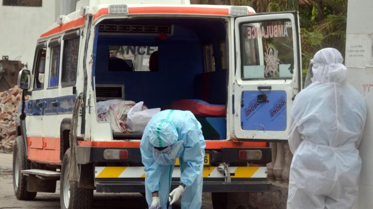The NFHS collected data on COVID deaths, toilets and fuel, but the information is missing from fact sheets