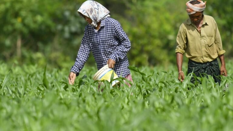 Farmers warn of protests over fertilizer shortage; claims black market sales