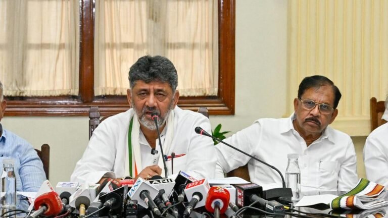 Karnataka Cabinet portfolios are allocated but discontent remains