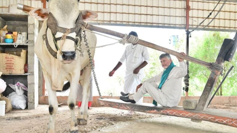 Naidu pats the tenant farmer for adopting natural farming methods