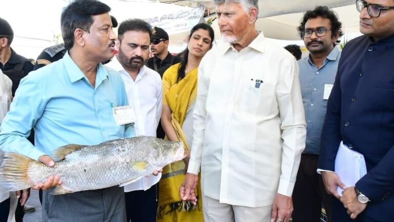 No room for manipulation in DSC-2025 recruitment, says Naidu