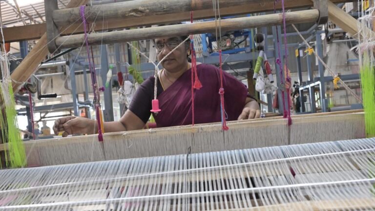 Health Minister Urges Chief Minister to Introduce Handloom Award in Andhra Pradesh