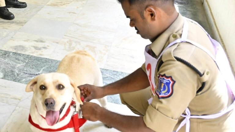 A pet dog equipped with a GPS tracker to track a two-year-old missing girl in Tuni