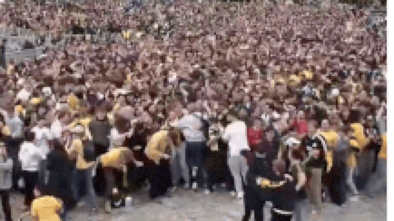 Pandemonium in Melbourne! Socceroos send fans into a frenzy after World Cup victory over Turkey