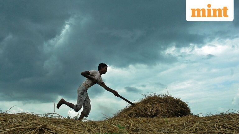 Delayed monsoon keeps Delhi steamy; IMD sees relief ahead | Today’s news