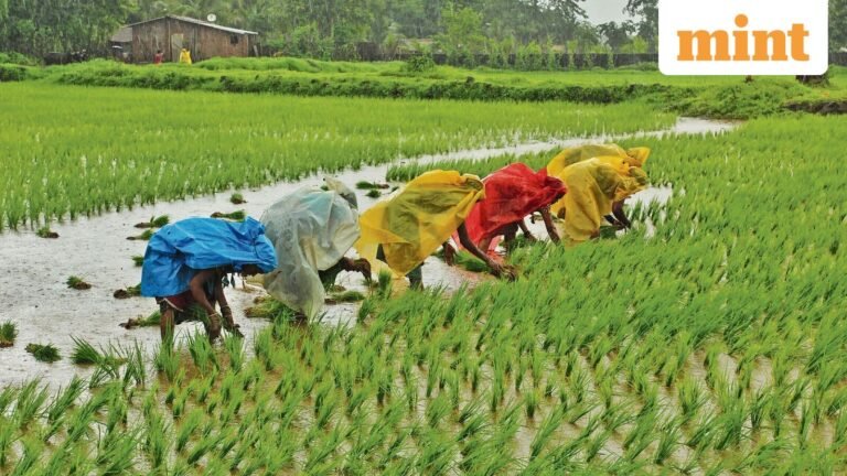 Farms increase diesel, irrigation power demand as monsoon may fluctuate | Today’s news