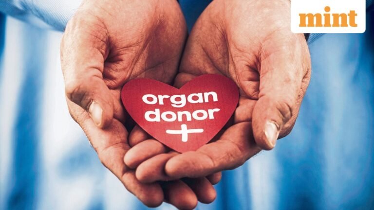 The government plans to standardize organ donation, to fill procedural gaps in the law | Today’s news