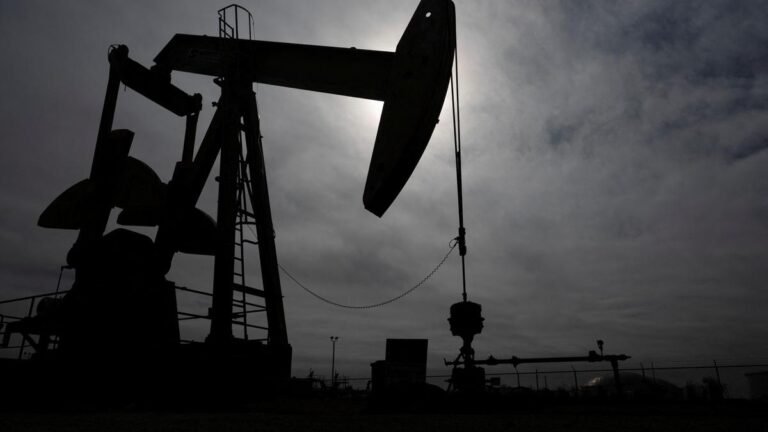 Russian crude imports to India rose in May as refiners increased purchases