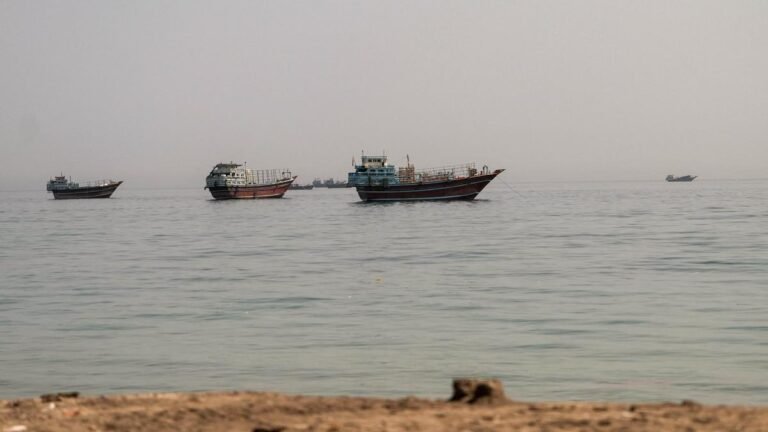 Three Indian-flagged oil tankers pass through the Strait of Hormuz