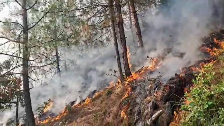 Kathua fire destroys two dozen huts in J&K; forest fire triggered explosions in Rajouri mines