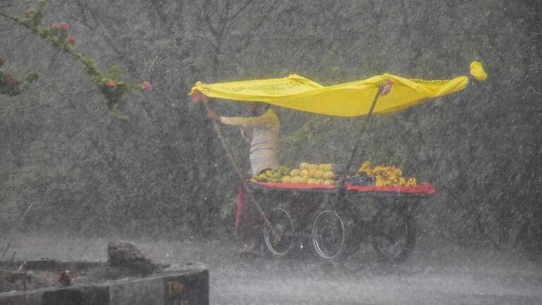 Monsoon tracker highlights: Heat warning for seven districts, Thunderstorm forecast in 10 districts for tomorrow in Telangana