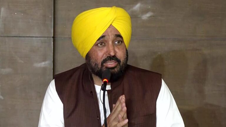 Punjab CM Bhagwant Mann Fake Video Controversy | Explained