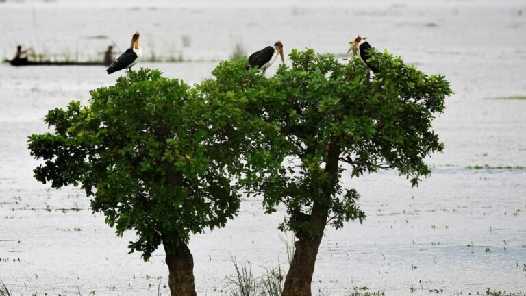 Assam on high alert after flash floods in Arunachal Pradesh