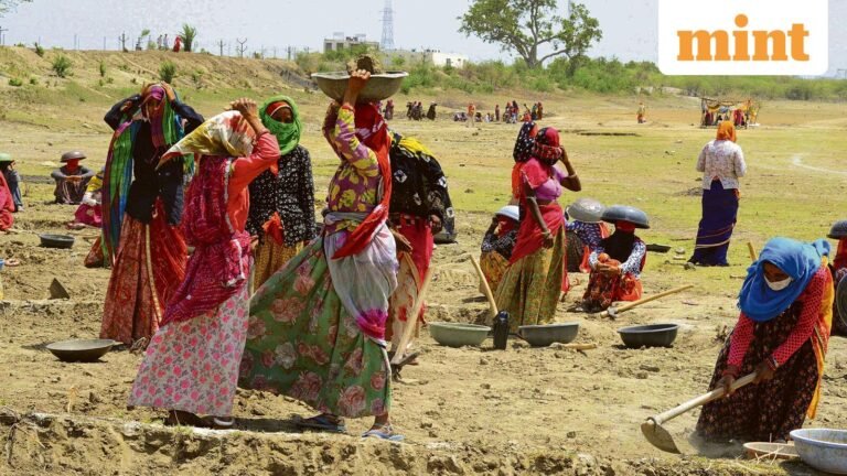India to introduce differentiated wage system for disabled, elderly and women under new rural jobs scheme | Today’s news