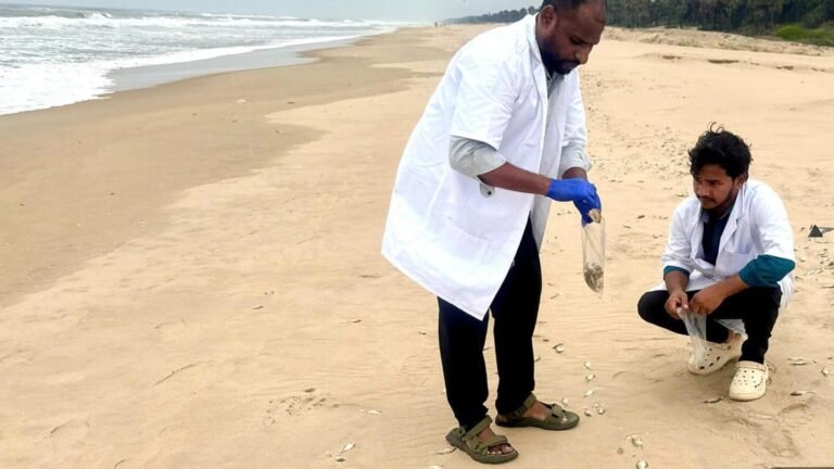 Hypoxia likely killed thousands of fish on Anakapalli coast, CMFRI study says