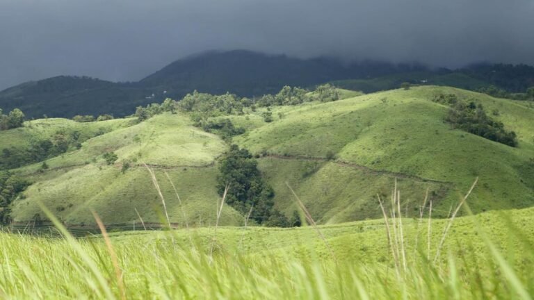 ‘Attack’ on family in Kerala’s Vagamon reignites tourist safety concerns