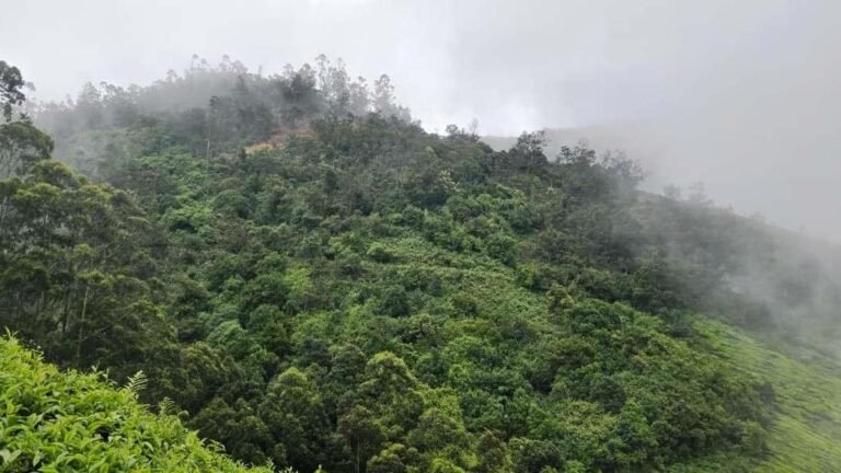 The Forest Department is taking over 42.72 hectares of land from private property in Kolukkumalai