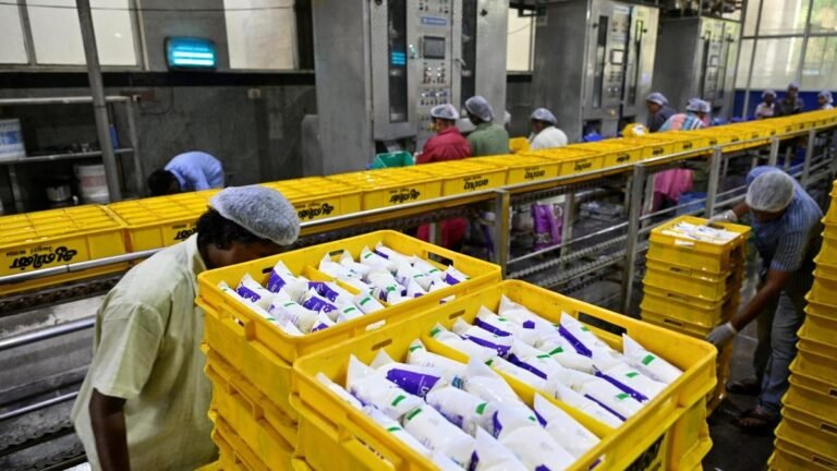 Extreme heat tests record milk production in India