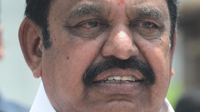 Palaniswami says more effective use of social media has yielded results for TVK in the TN assembly elections