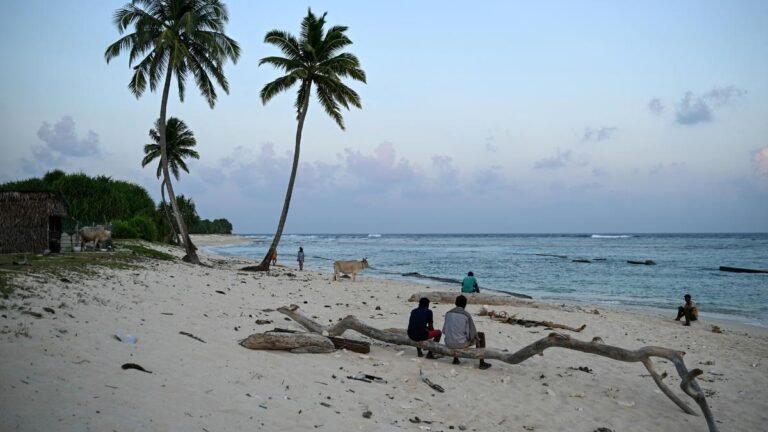 Census for resettlement to start making way for the Great Nicobar Project