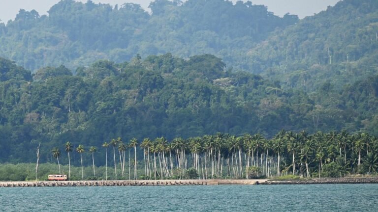 The Public Accounts Committee seeks a report from the Home Ministry on the Great Nicobar Project