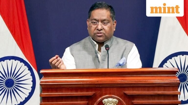 ‘No active stance on internal affairs’: MEA remark on ‘threat to Muslim places in India’ by Pak President | Today’s news