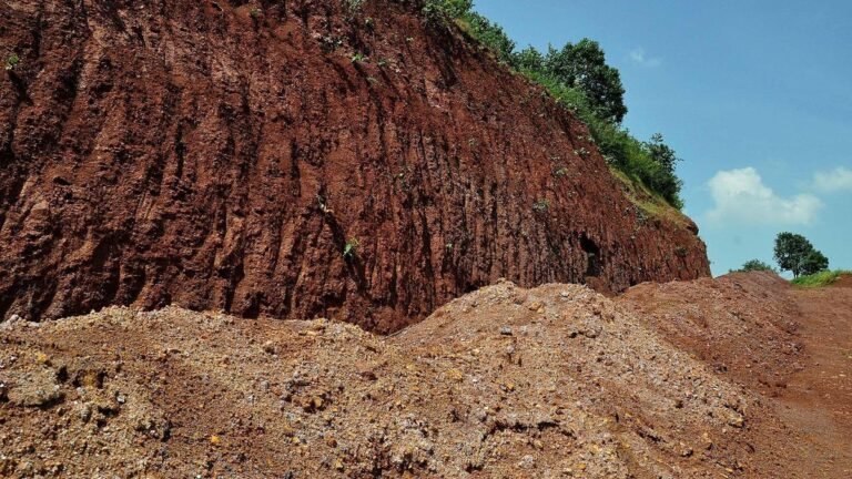 NLC is emerging as the preferred bidder for the critical mineral block in Telangana