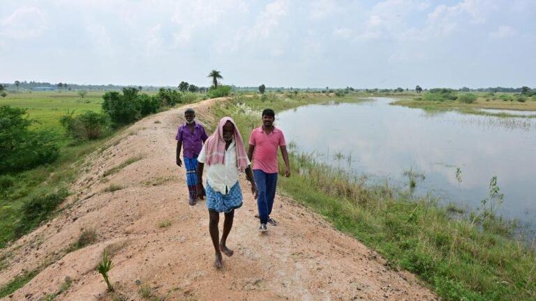 The Tamil Nadu government is looking for a new airport instead of Parandur