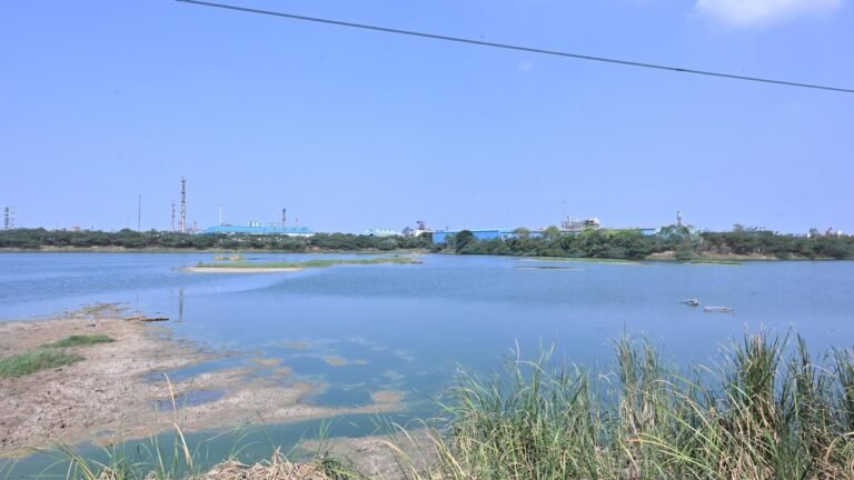 Restore Sathangadu lake to original extent of 135 acres, clear encroachment on 65 hectares, TNIC tells govt