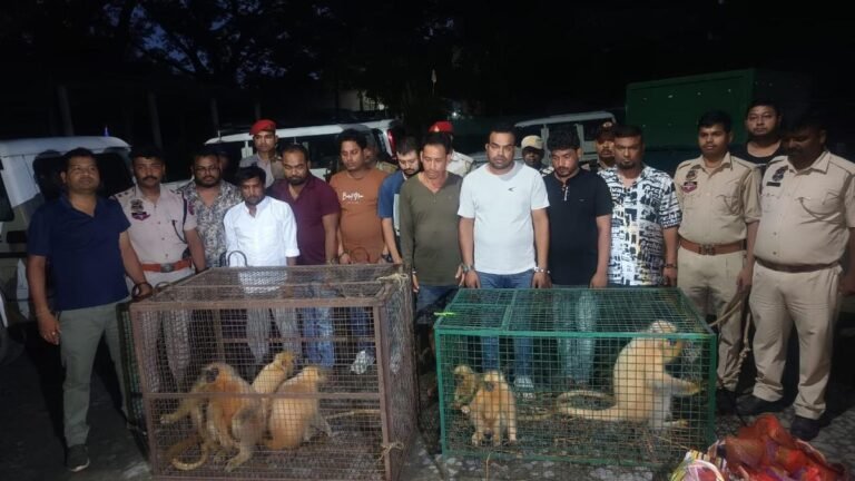 Bangladeshi among nine wildlife traffickers held in Assam