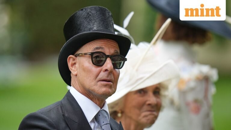 Quote of the Day by Stanley Tucci: “The more you know, the more you can create” | Today’s news