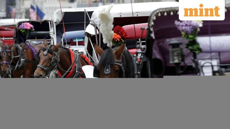 Video: Indian tourist succumbs to injuries after being thrown from horse-drawn carriage in New York’s Central Park | Today’s news