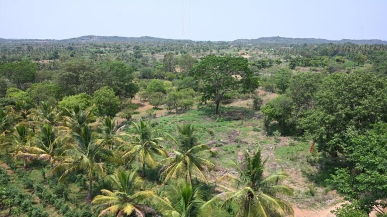 DKS as CM can give a big push to tunnel roads, PRR and Bidadi township
