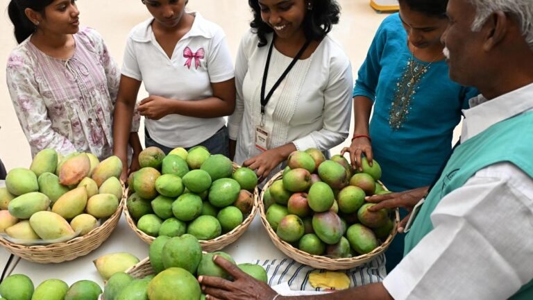 Farmers find new customers at Nabard’s mango fest