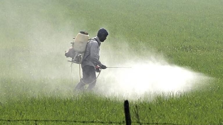 535 farmers died due to unsafe use of pesticides between January 2024-2026 in Rajasthan