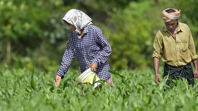 Rythu Bharosa for Kharif will be released today; Telangana PCC chief reaffirms government’s commitment to farmers