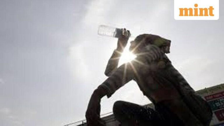 Delhi Weather: India’s capital recorded a ‘feeling’ high of 48.4C on Saturday; rain expected from monday | Today’s news