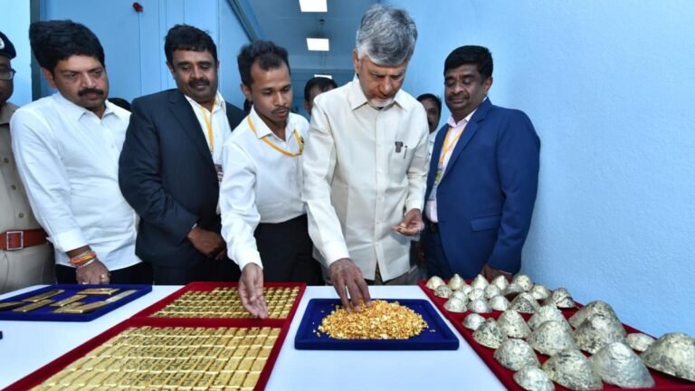 Grow better onion varieties, promote horticulture: Chandrababu Naidu to Kurnool officials