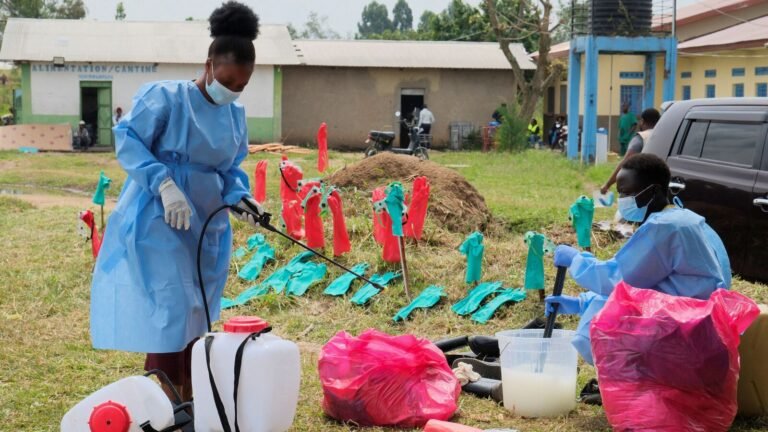 First case of Ebola in France: Doctor returned from DR Congo positive | Today’s news