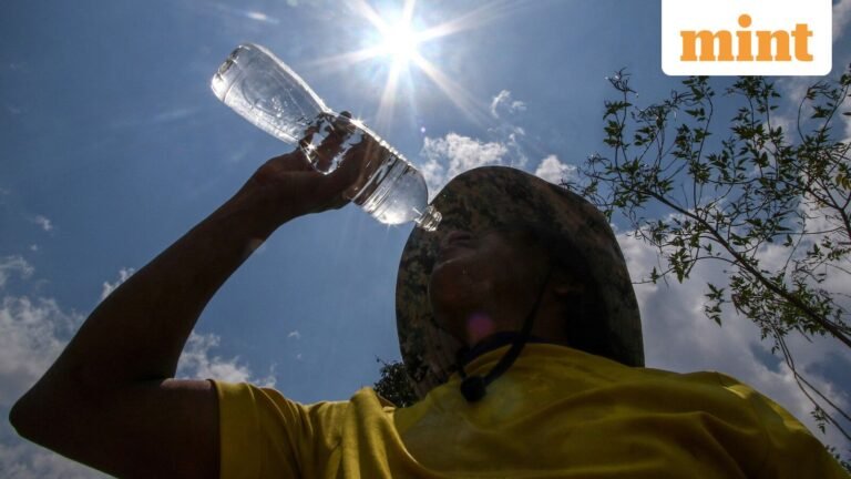 Europe suffers worst heatwave: Mercury tops seasonal averages by 12°C in France, Germany, Italy, Spain | Today’s news